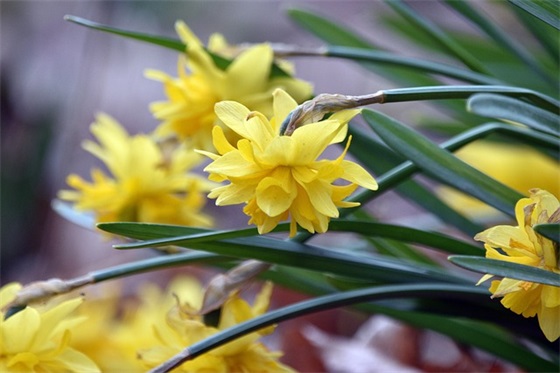 笔记本键盘失灵的解决方法