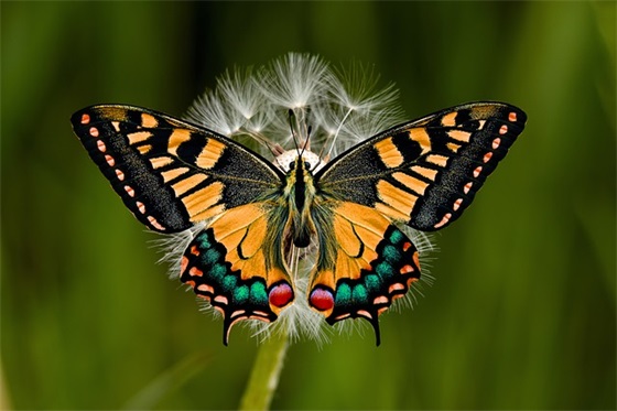 开学对初中孩子的寄语 【对初中生开学寄语】