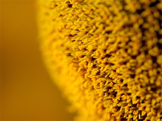 毕业典礼寄语学生写-100句