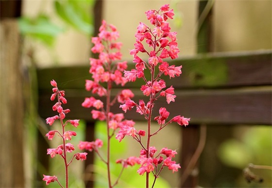 大学毕业季家长寄语-100句