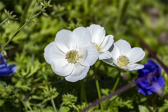 幼儿园家长寄语简短优美 【幼儿园家长寄语简短100条】