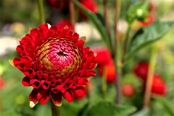 高中寄语简短一句话 【高中寄语简短一句话大全】