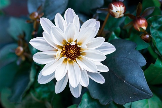 幼儿园教师学期寄语简短 【幼儿园教师学期寄语简短一句话】