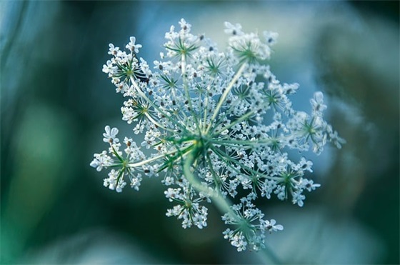 父母对孩子的寄语格式怎么写 【父母对孩子寄语精选100句】