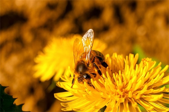 高中生开学寄语或鼓励的话 【高中生开学寄语或鼓励的话怎么写】