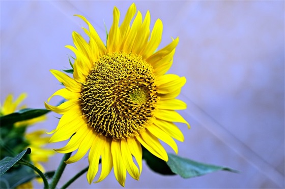 给孩子告别童年的寄语 【100句精选】