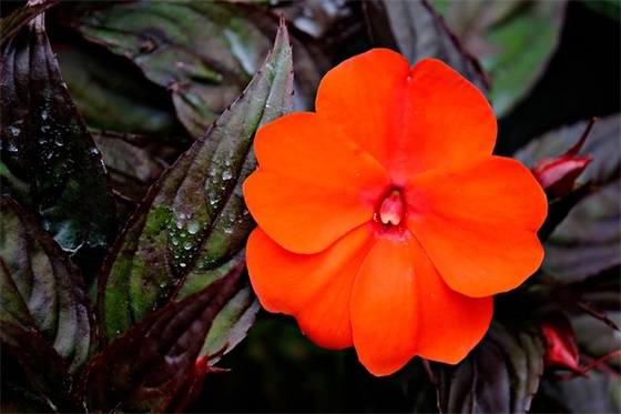 毕业给班级的寄语初中 【对初中毕业班的寄语】