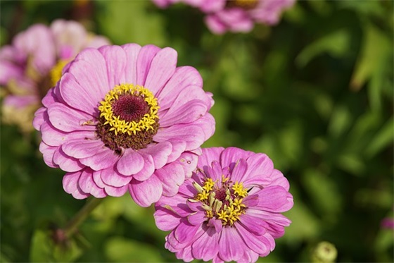 幼儿园毕业典礼园长妈妈寄语 【幼儿园毕业季园长妈妈的祝福】