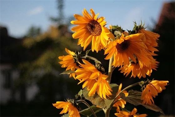 对小学二年级孩子的寄语怎么写 【对二年级孩子鼓励与期望的话】