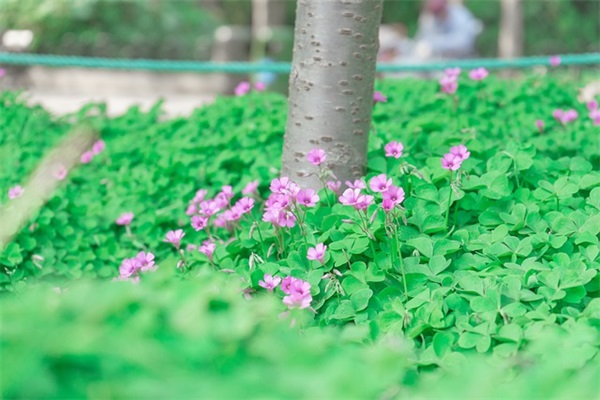 对孩子小学毕业寄语 【对孩子小学毕业寄语简短】