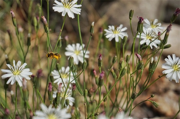 男人悲伤的句子200句