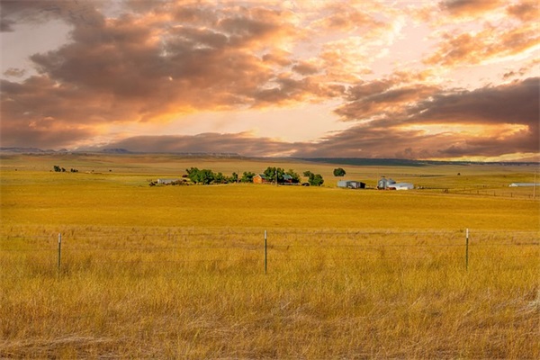 鼓励孩子的话语