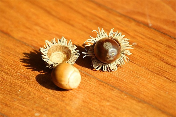 描写大自然为什么的句子-47句