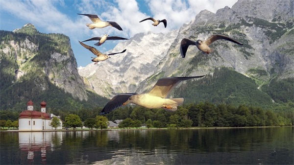 新年适合发朋友圈的句子【优选121句】