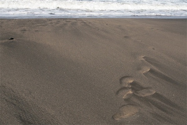 向男生表白的话 对男生表白的话