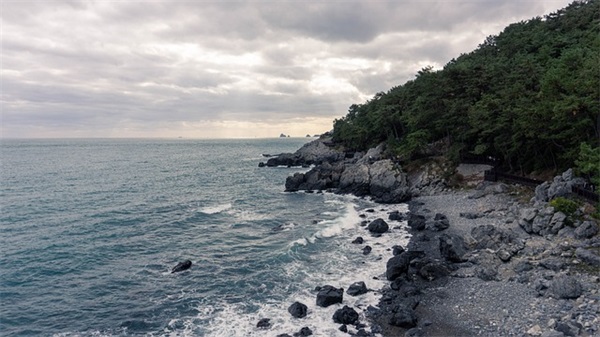 小学简短毕业寄语 【小学时毕业寄语】