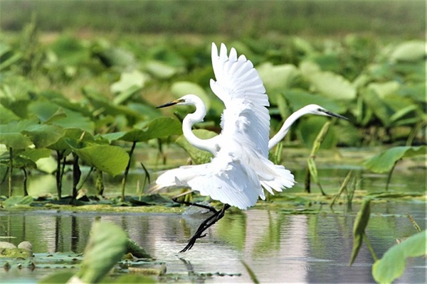 给幼儿园毕业小朋友的寄语家长 【给幼儿园毕业孩子的寄语】
