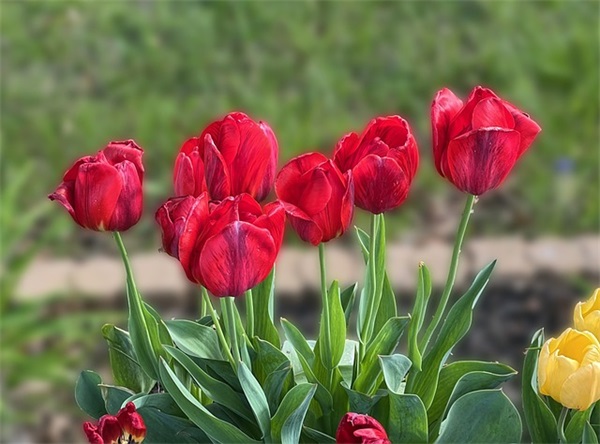 期末考寄语 【期末考试寄语老师的话】