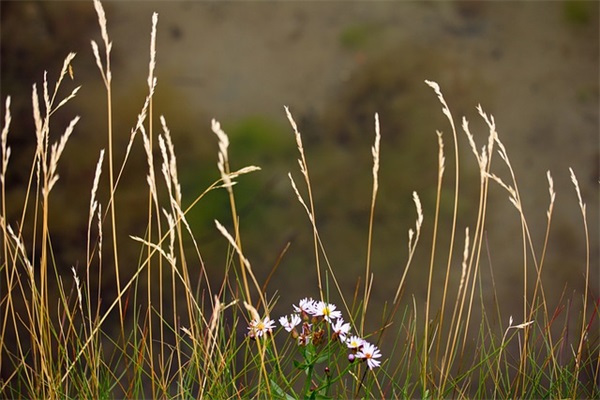 毕业父母的寄语-53句