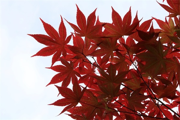 学期总结家长寄语鼓励的话-50句