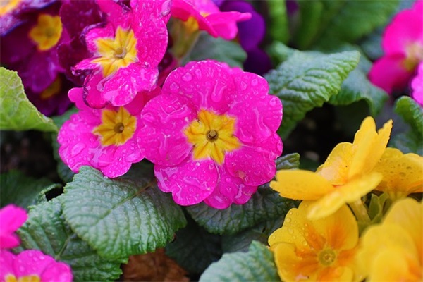 写给孩子幼升小的寄语简短-54句