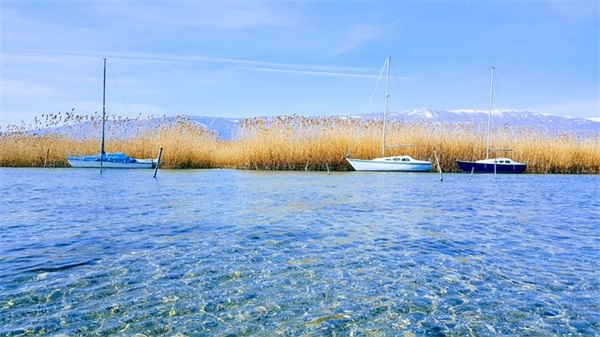 祝福公司的寄语-50句