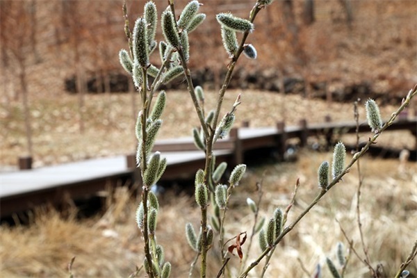 宝贝五周岁寄语-62句