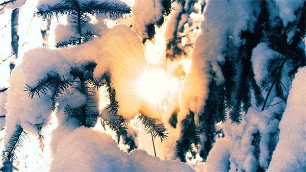 带佳佳的网名情侣