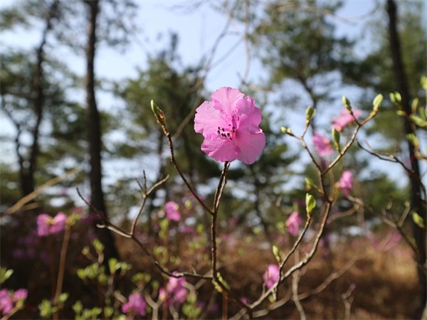 带墨文雅的网名男