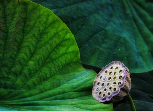 带墨字的日语网名