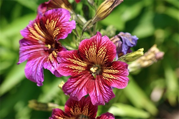 带佳谐音的网名情侣