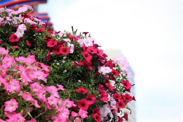 带仪字一生一世的的网名昵称