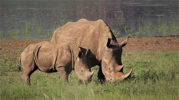 带镔绯的网名昵称