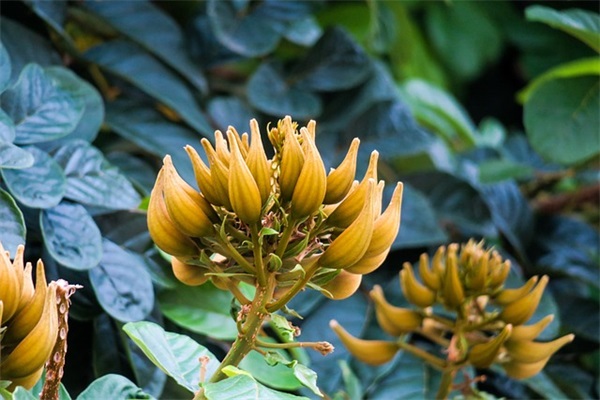 带滨铥的网名昵称