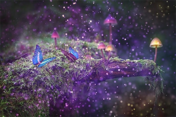 带寂的二字网名