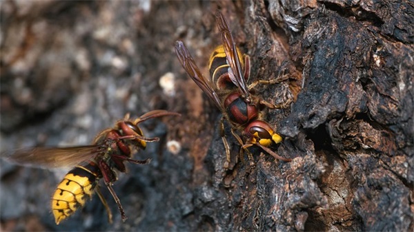 带爱淀的网名昵称