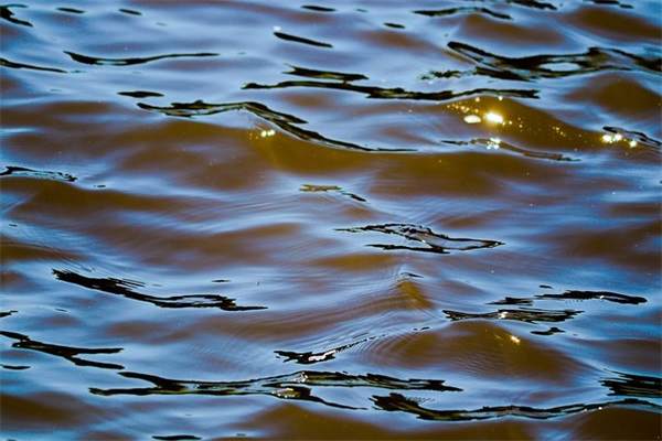 网名带爱的意思