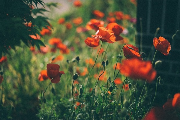 高级有质感的句子短句 高级有质感的句子