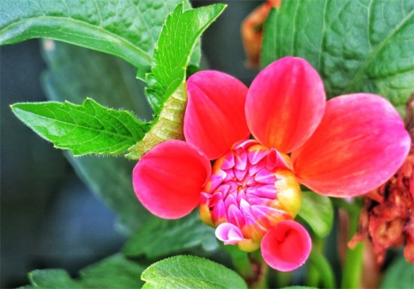 句子迷短句 句子迷励志语句