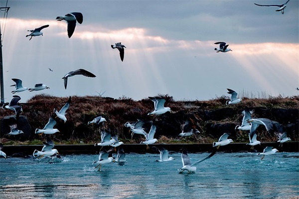 2025最走心的句子句句精辟入骨