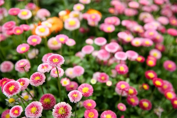 拍摄方案(范例十三篇)