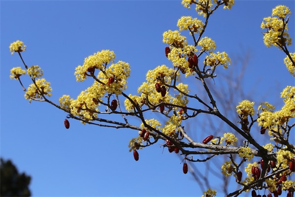 手机店促销方案13篇