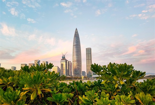 2026语文新课标课程内容和学业质量解读(精选6篇)