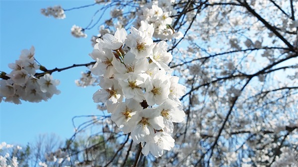 安全生产岗位职责(精选13篇)