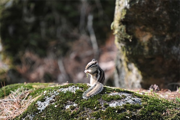 优秀基层医师先进事迹及主要业绩(精选13篇)