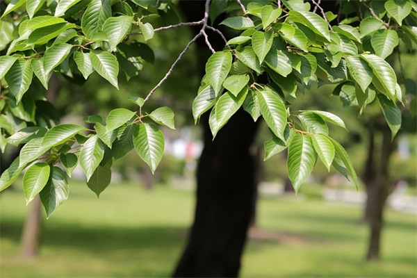 表现爱国情怀的名言82句