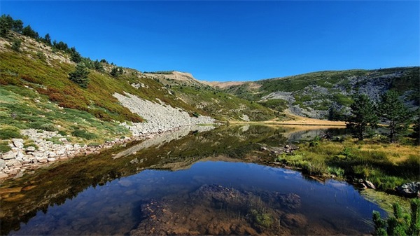 歌德的名人名言81句