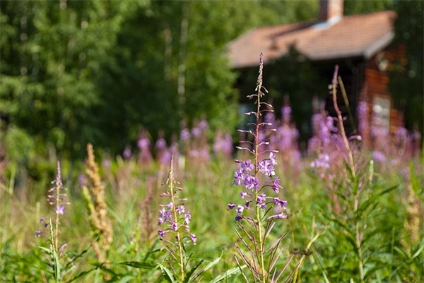 电影青春派经典台词