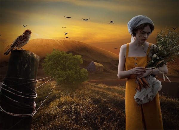 公司新年寄语经典