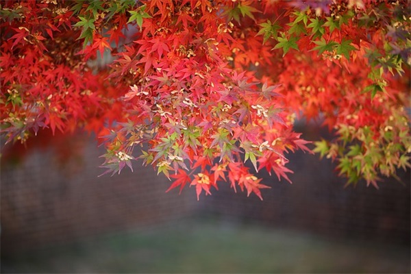 电子商务管理的讨论论文